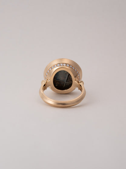 PLINTH Coin Ring - Lion