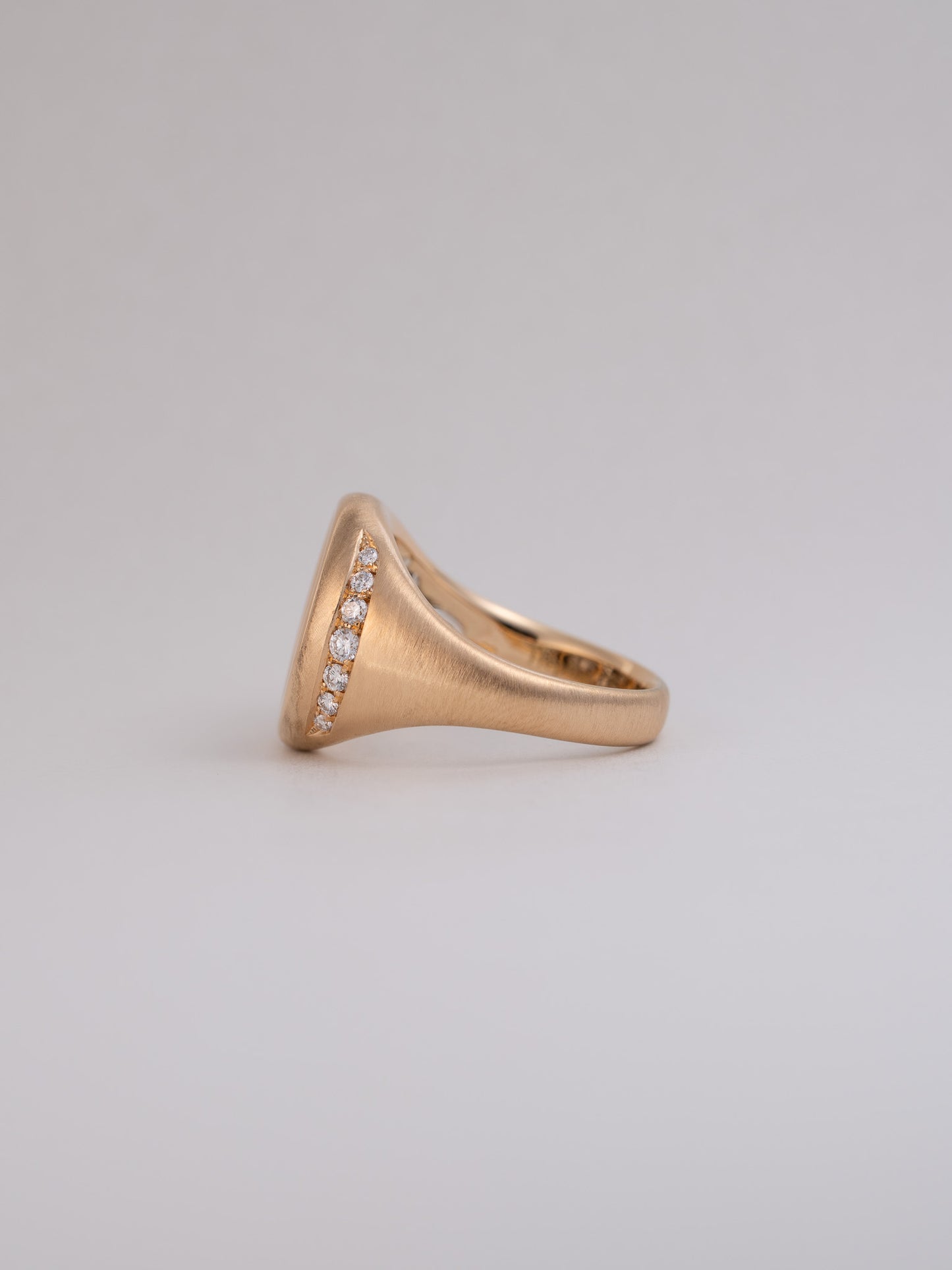 Coin Signet Ring -Lion
