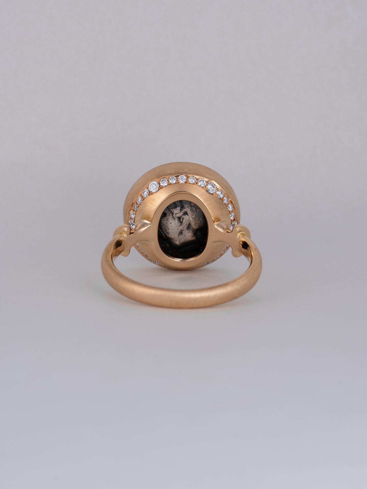 PLINTH Coin Ring -Lion